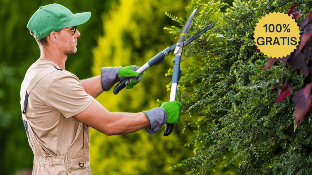 Operaciones básicas jardines