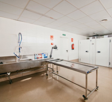 atlántida cidep 1-sala anatomía